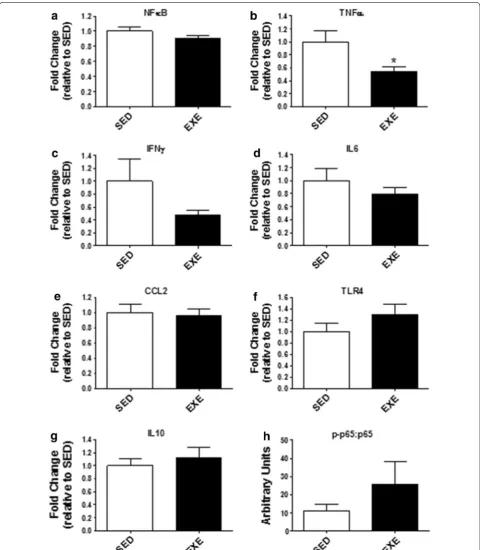 Fig. 3 Ileum inflammatory markers. Gene expression of pro-inflammatory interferon-matory a nuclear factor kappa-B (NFKB), b tumor necrosis factor-α (TNFα), c γ (IFNγ), d interleukin 6 (IL6), e chemokine (C–C motif) ligand 2 (CCL2), and f toll-like receptor