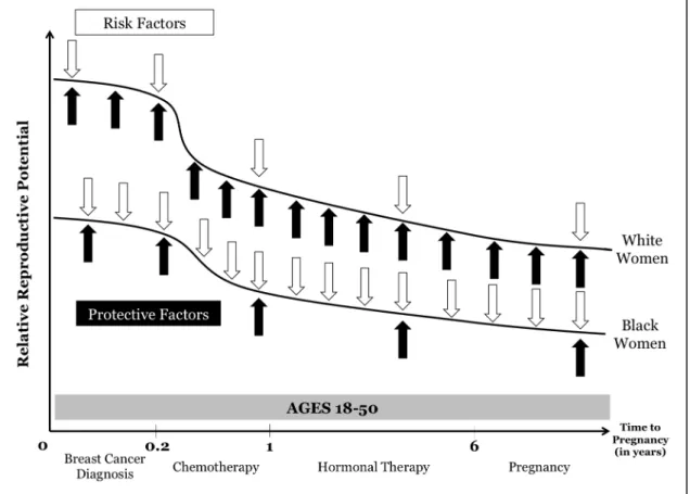 Figure 4.1. Revised conceptual model of how risk factors and protective factors differentially  influence the reproductive potential of black and white women with a 