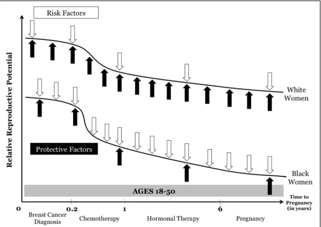 Figure 1.2. Conceptual model of how risk factors and protective factors differentially influence  the relative reproductive potential of black and white women with a premenopausal  breast cancer history 