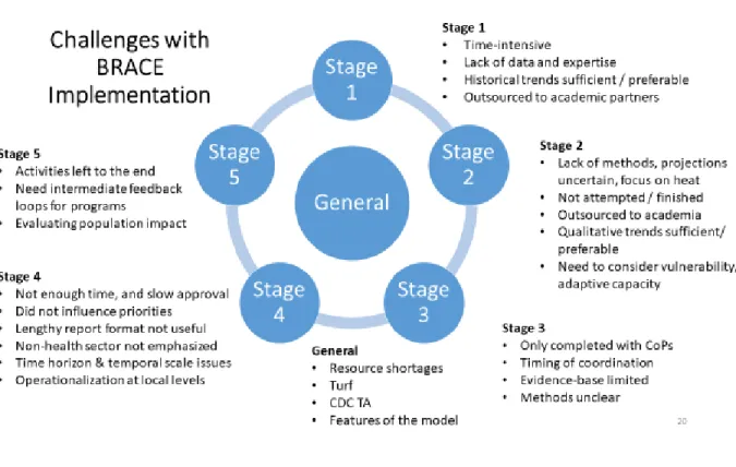 Figure 7.  Challenges with BRACE Implementation  