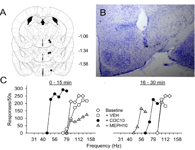 Figure 1.  Placement of intracranial self-stimulation monopolar electrodes (Panels  A-B) and representative rate-frequency curves (Panel C) in C57BL/6J mice