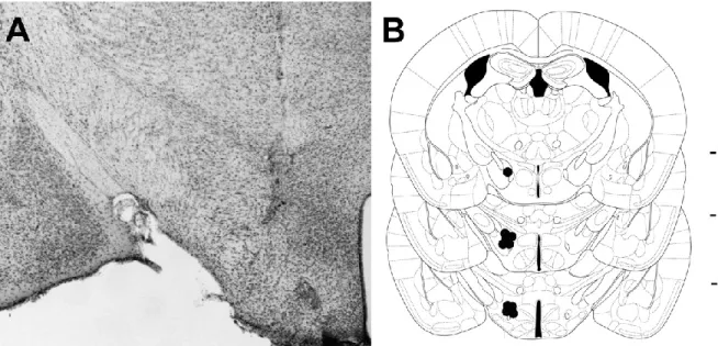 Figure 1. Placement of intracranial self-stimulation monopolar electrodes in 