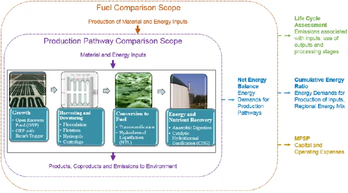 Figure 1. Integrated LCA/TEA Methodology 