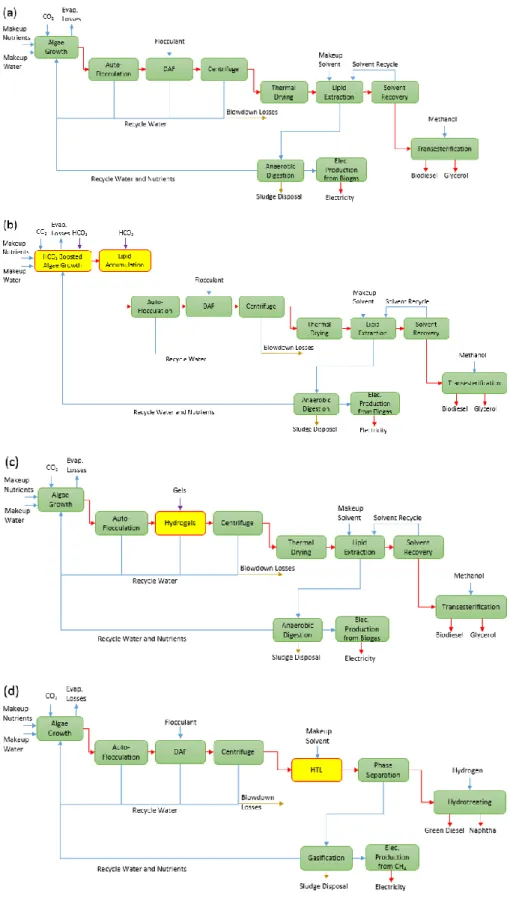 Figure 3. Processing Schematics for (a) Baseline Transesterification Pathway, (b)  Transesterification with Bicarbonate-Induced Lipid Productivity Boost, (c) Transesterification 