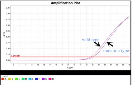 Figure 2. Jak2 V617F mutation type (purple curve) 100% mutations, red curve for the wild type positive control.