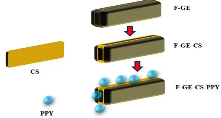 Figure 1. Schematic structure of the F-GE-CS-PPY nanocomposite film 