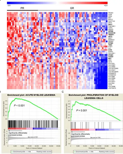 Figure 1: A. The heatmap of the 46 differential expressed probes between the 19 patients with poor response (PR group) to the first induction chemotherapy and the 56 achieving continuous complete remission (GR group)