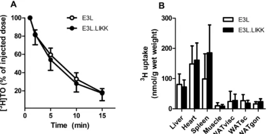 Figure 3. LIKK does not affect clearance of VLDL-like emulsion particle-TG in E3L mice