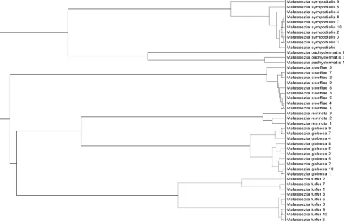 TABLE 1 Means of the coefﬁcients of variation of the log score values of thereproducibility and repeatability tests