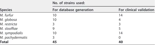 TABLE 2 Distribution and number of strains of each species included in this study
