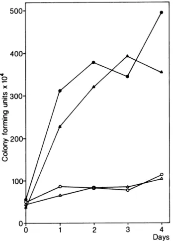 FIG. 3. Viable count of strains RBL5505 (Sym-) (0, 0) and RBL5601 (Sym+) (A, A) after incubation in J medium (0, A) and root exudate (0, A).