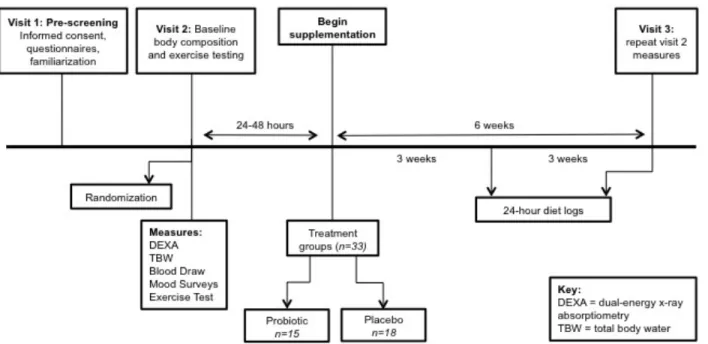 Figure 1. Experimental protocol schematic  