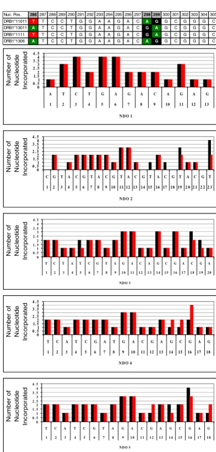 Figure 1NDO optimizationNDO optimization. Sequences of DRB1*11011, 13011 and DRB1*1111, 1306 are shown on the top (5'-286-305-3')