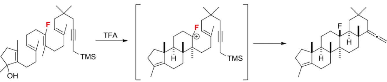 Figure 1.31:  Fluorine stabilization of 6-membered C-ring 