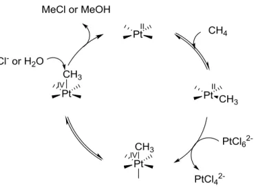 Figure 1.41:  Shilov cycle 
