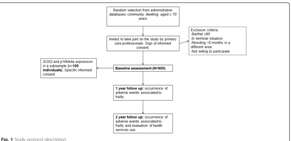 Fig. 1 Study protocol description