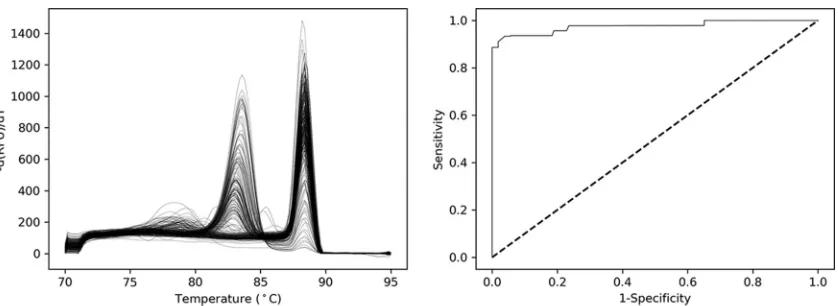 FIG 2 Melting curve analysis of 103 clinical swabs samples (left) and the ROC curve analysis (right) that was performed to establishthe optimum threshold at 245 �d(RFU)/dT