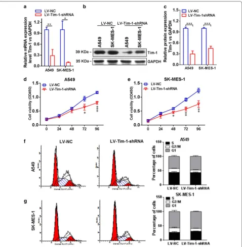 Fig. 5 Depletion of TIM-1 in NSCLC cell lines. a The expression of TIM-1 at the mRNA level in the LV-TIM-1-shRNA group was significantly lower than that in the LV-NC group, both in A549 (P < 0.01) and SK-MES-1 cells (P < 0.05)