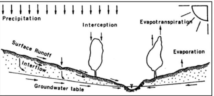 Figure 4: Representation of the hydrological flow  process for the PERLND module in HSPF 