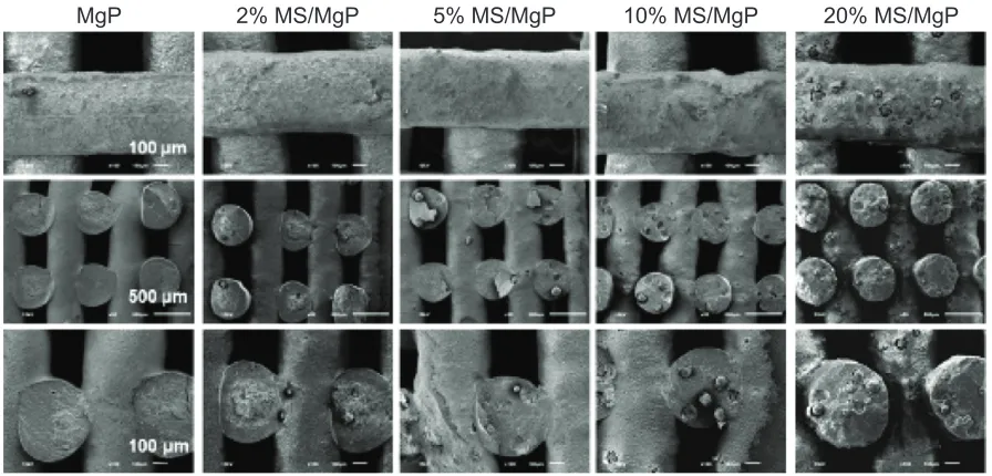 Figure 3 The water absorption (%) of Ms/MgP composite scaffolds was evaluated by comparing the weight differences between dried and hydrated samples.Notes: Ms (55% ha) was used to fabricate 0% to 20% Ms/MgP composite scaffolds
