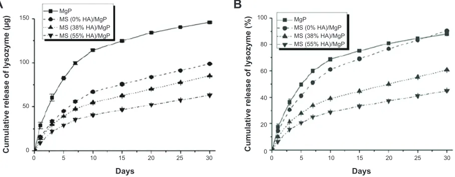 Figure 7 In vitro lysozyme-release kinetics of Ms/MgP composite scaffolds was monitored for 30 days and expressed in two different aspects: (A) cumulative release amount (μg) and (B) cumulative release percentage (%) against lysozyme loading amount.Abbreviations: ha, hydroxyapatite; MgP, magnesium phosphate; Ms, microsphere.