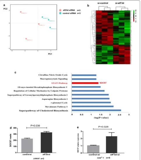 Fig. 3 Differentially expressed transcripts after eIF3d siRNA‑treated compared with control siRNA‑treated Jurkat cells and pathway enrichment Transcriptome data showed that expression of SOCS‑7 in Jurkat cells treated with eIF3d siRNA was 1.2‑times higher 