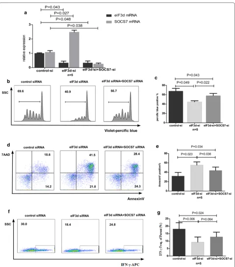 Fig. 4 Knockdown of SOCS‑7 restored the attenuated CD8recovered the function of CD8+ T cell functions caused by a reduction in eIF3d