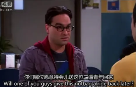 Figure 1: Video with Dual Subtitles