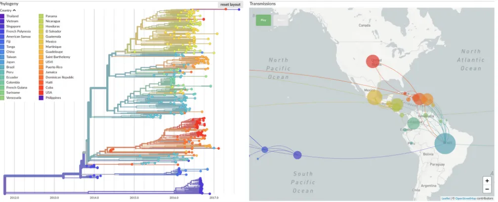 FIG 2 Phylogeographic analysis of Zika virus sequences using https://nextstrain.org (19)