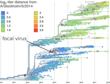 FIG 3 Integration of HI titer data with molecular evolution of the inﬂuenza virus. Each year, inﬂuenza laboratoriesdetermine thousands of HI titers for test viruses, relative to sera raised against several reference viruses (indicated by graycogs)