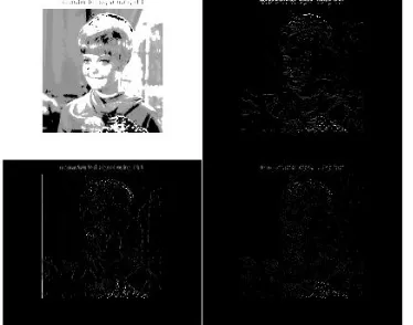 Fig 5.5: Reconstructed CS host image (K=100)                           Fig 5.6: Reconstructed CS watermark image (K=100)  The above host and watermark images are compression sensed and recovered by applying inverse DCT