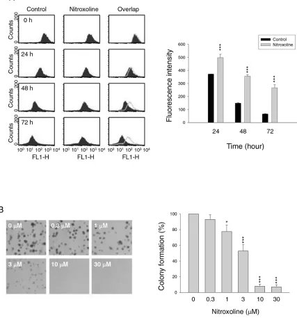 Figure 1: Effect of nitroxoline on anti-proliferation. PC-3 cells were incubated in the absence or presence of nitroxoline (A, 10 μM; B, 0.3 to 30 μM) for the indicated time (A, 24 to 72 hours; B, ten days)