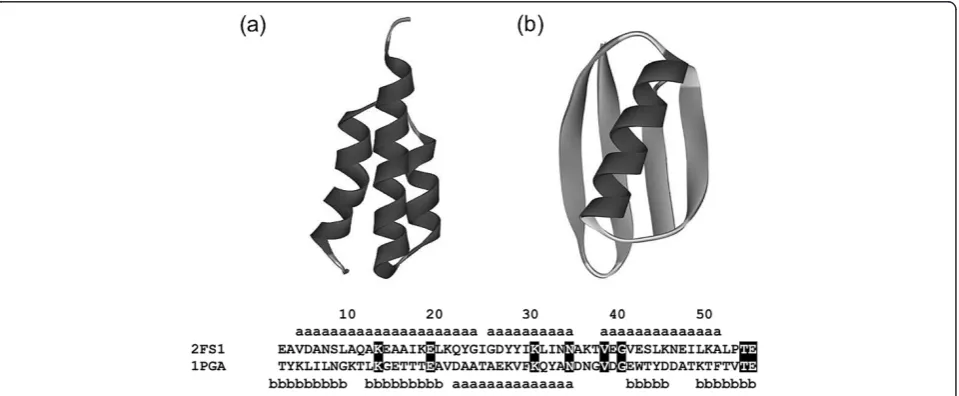 Figure 11 Ribbon representations of the 3D structures of 2FS1 (a) and 1PGA(b) with their amino acid sequences