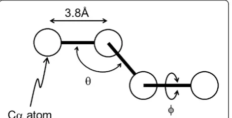 Figure 12 Cα-bead model of a protein used in this study. Thebond length is fixed as 3.8 Å, and the bond and dihedral angle aresymbolized as θ and ϕ, respectively.