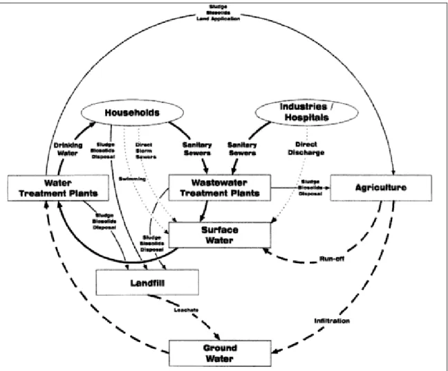 Figure 1.1: Pathways of PPCPs into drinking water and the environment (Bhandari 2008)