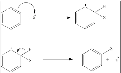 Figure  1.3:  Generic  electrophilic  aromatic  substitution  with  halogen  (X)  as  the  electrophile