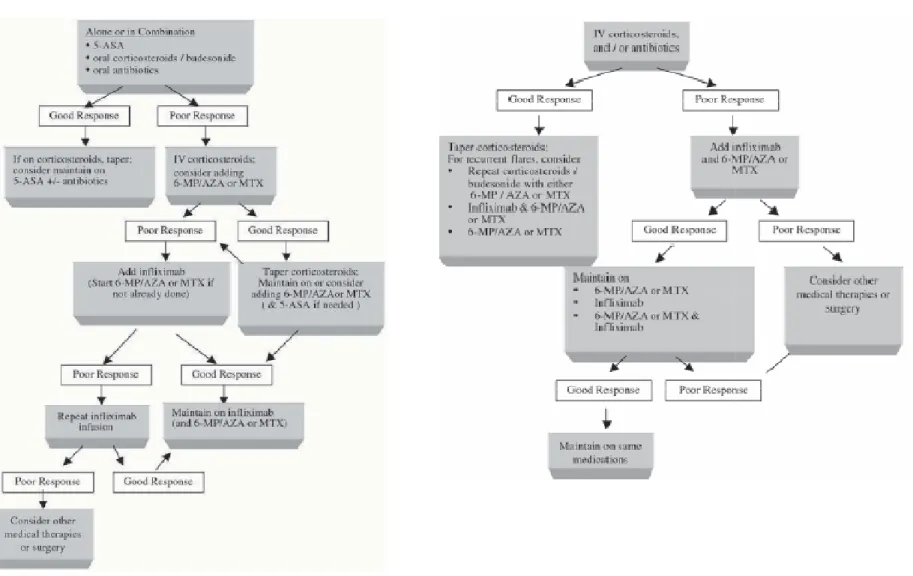 Figure 2.1   Bottom-up Treatment Guidelines 