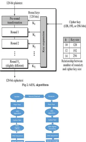 Fig 3 Flow chart of AES 