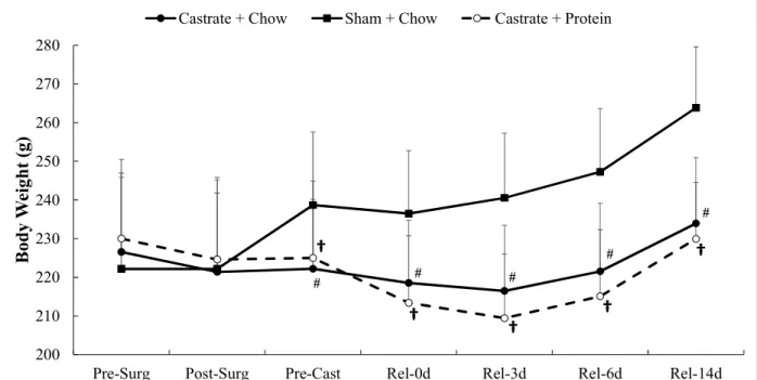 Figure 1. Body mass for sham + chow, castrate + chow, and castrate + protein groups beginning  with surgery and continuing out to 14 days of reloading