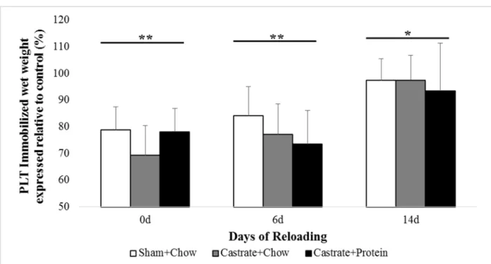 Figure 4. Plantaris (PLT) muscle wet weight at baseline (prior to immobilization) and after 0  days, 6 days, or 14 days of reloading via normal cage ambulation