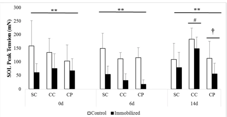 Figure 7. SOL peak muscle force at baseline (prior to immobilization) and after 0 days, 6 days,  or 14 days of reloading via normal cage ambulation