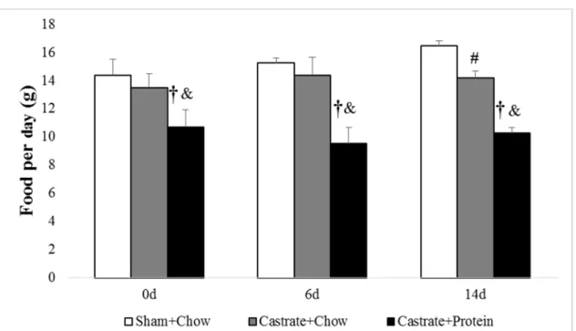 Figure 9. Average food intake for sham + chow, castrate + chow, and castrate + protein groups  beginning with 0 days of reloading and continuing out to 14 days of reloading