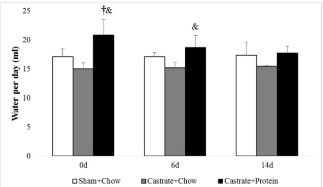 Figure 10. Average water intake for sham + chow, castrate + chow, and castrate + protein  groups beginning with 0 days of reloading and continuing out to 14 days of reloading