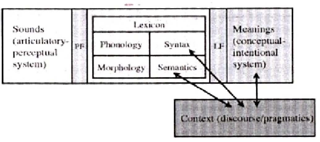 Figure 2. White’s (2009) depiction of interfaces  