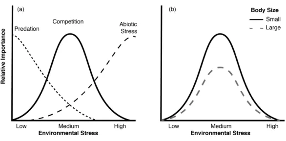 Figure 1.1 (A) Conceptual model showing the relative importance of physical stress,  predation, and competition across environmental stress gradients (Adapted from Menge and  Sutherland 1987) and (B) the relative importance of competition for juvenile oyst