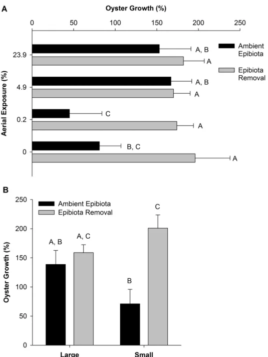 Figure 1.4 Growth of the surviving oysters at the end of the experiment (% ± 1SE), 