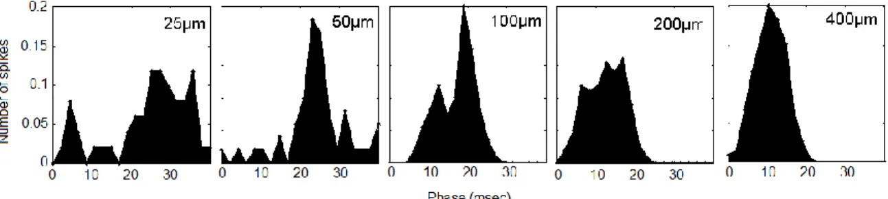 Figure  3.1  Exemplary  temporal  response  with  increasing  amplitude.  PSTHs  of  the  cortical response to 5 amplitudes of 25 Hz stimulation for 1 sec
