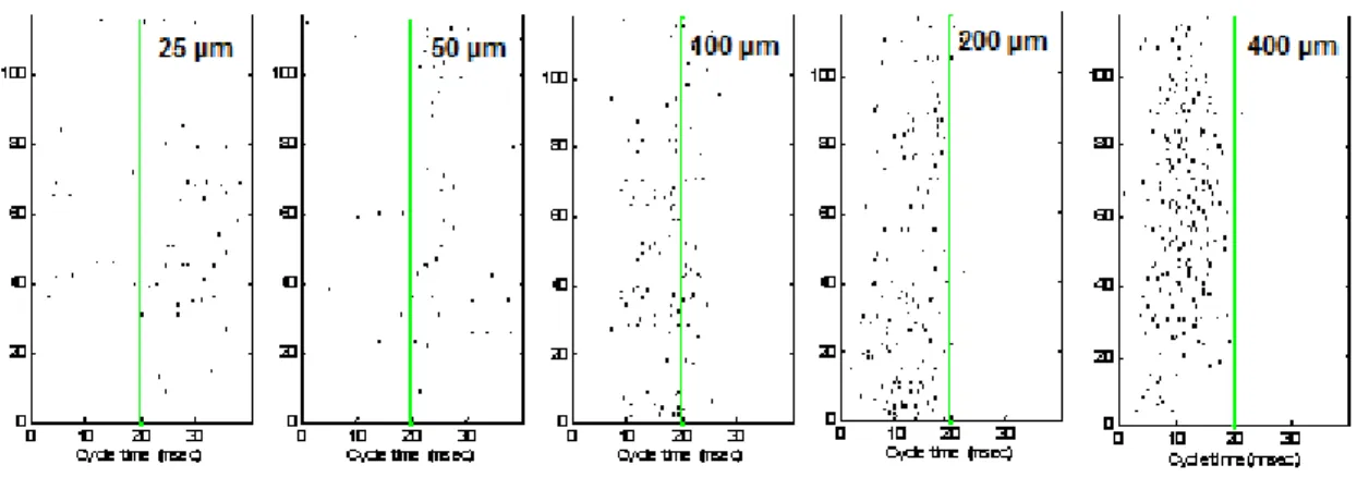 Figure  3.5  Another  detailed  exemplary  temporal  response,  increasing  amplitudes  from 25 µm to 400 µm