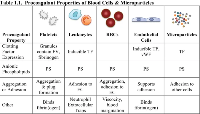 Table 1.1.  Procoagulant Properties of Blood Cells &amp; Microparticles 