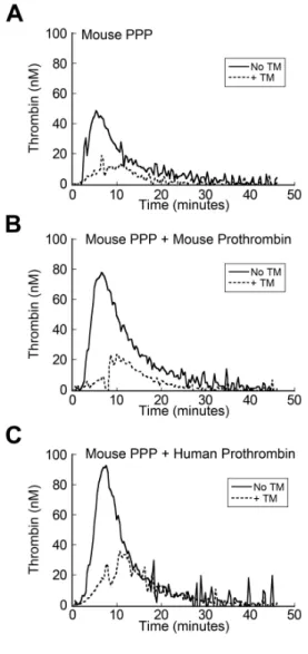 Figure 2.1. Human prothrombin supports thrombin generation in murine plasma and  mouse thrombomodulin reduces thrombin generation in mouse plasma spiked with  human prothrombin